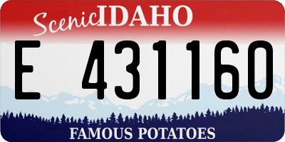 ID license plate E431160