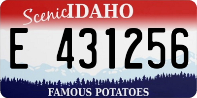 ID license plate E431256