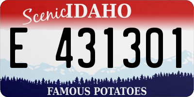ID license plate E431301