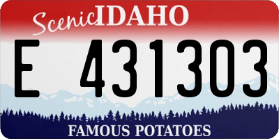 ID license plate E431303