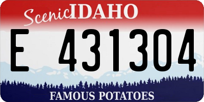 ID license plate E431304