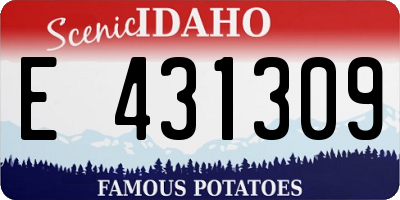 ID license plate E431309