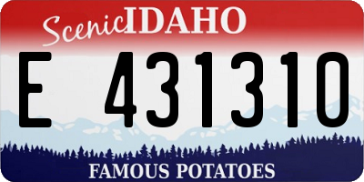 ID license plate E431310