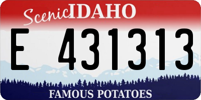 ID license plate E431313