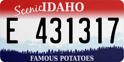 ID license plate E431317