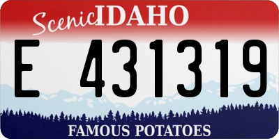 ID license plate E431319