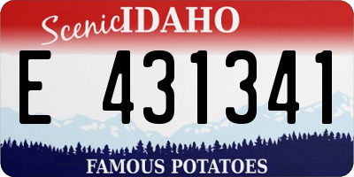 ID license plate E431341