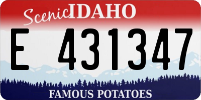ID license plate E431347