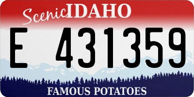 ID license plate E431359