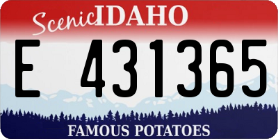 ID license plate E431365