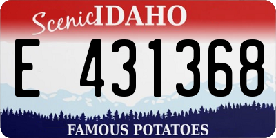 ID license plate E431368