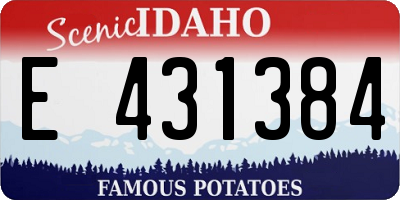 ID license plate E431384