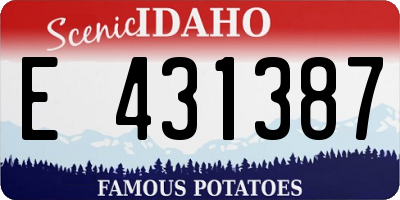 ID license plate E431387