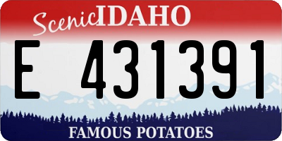 ID license plate E431391