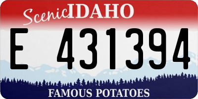 ID license plate E431394