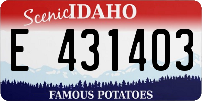 ID license plate E431403