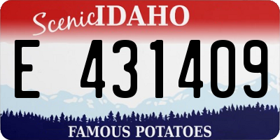 ID license plate E431409