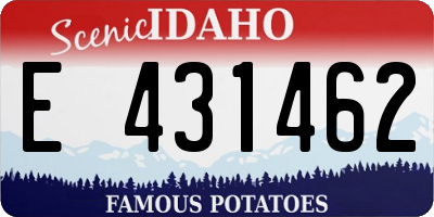 ID license plate E431462