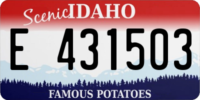 ID license plate E431503