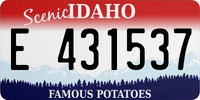ID license plate E431537