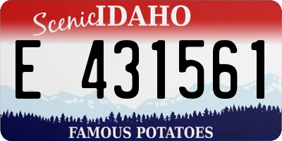 ID license plate E431561