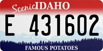 ID license plate E431602