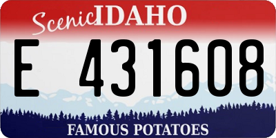 ID license plate E431608