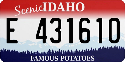 ID license plate E431610
