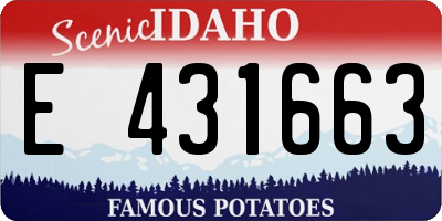 ID license plate E431663