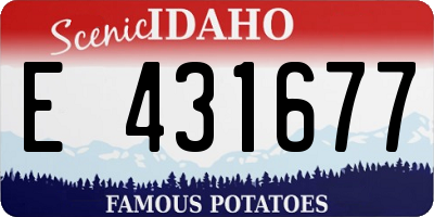 ID license plate E431677