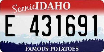 ID license plate E431691