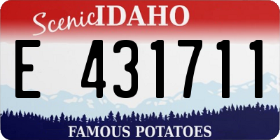 ID license plate E431711