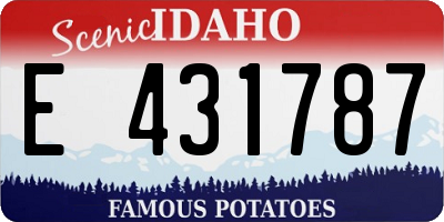 ID license plate E431787