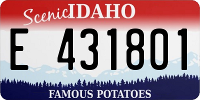 ID license plate E431801