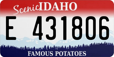 ID license plate E431806