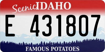 ID license plate E431807