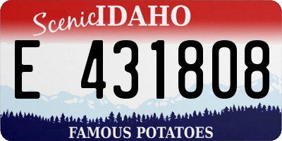 ID license plate E431808