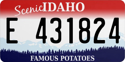 ID license plate E431824