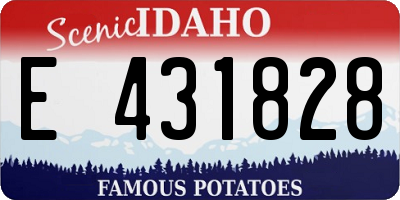 ID license plate E431828
