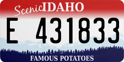 ID license plate E431833