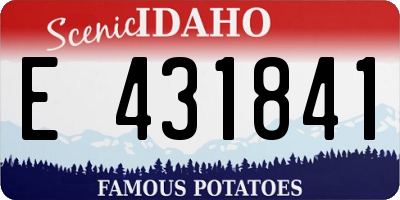 ID license plate E431841