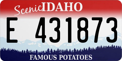 ID license plate E431873