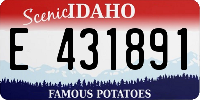 ID license plate E431891