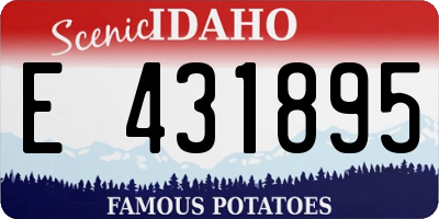 ID license plate E431895