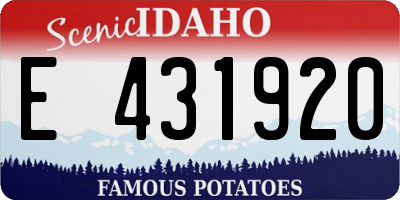 ID license plate E431920