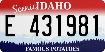 ID license plate E431981