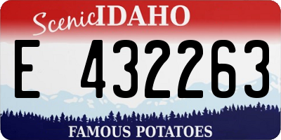 ID license plate E432263