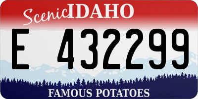 ID license plate E432299