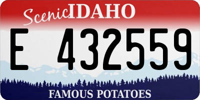 ID license plate E432559