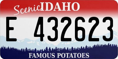 ID license plate E432623